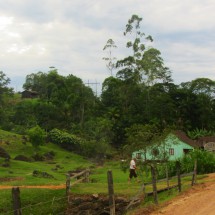 Rural environment of Blumenau